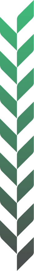 vine